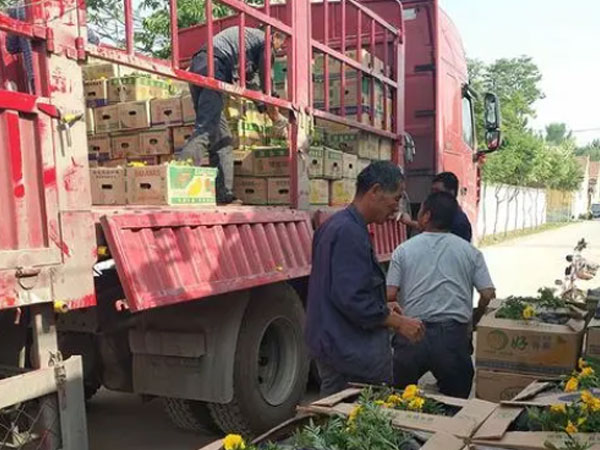 发货现场